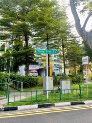 Tiong Bahru Estate (D3), Shop House #457049201
